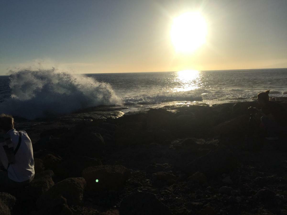 Alicia Paraiso Del Sur Costa Adeje  Bagian luar foto